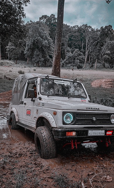 某初级中学 某初级中学