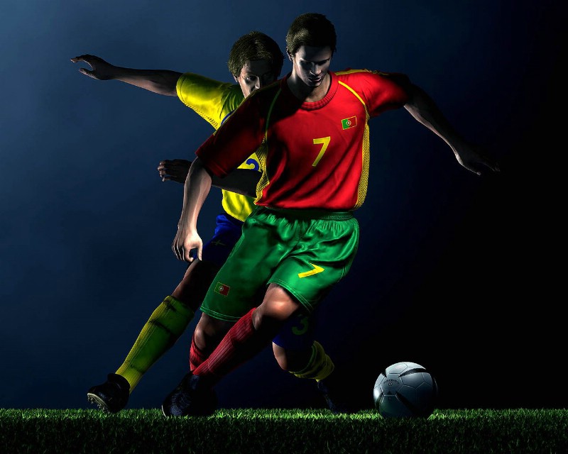 合同条款 合同条款